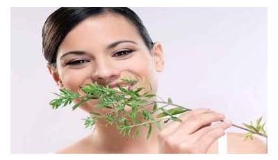 Anti-Aging Herbs